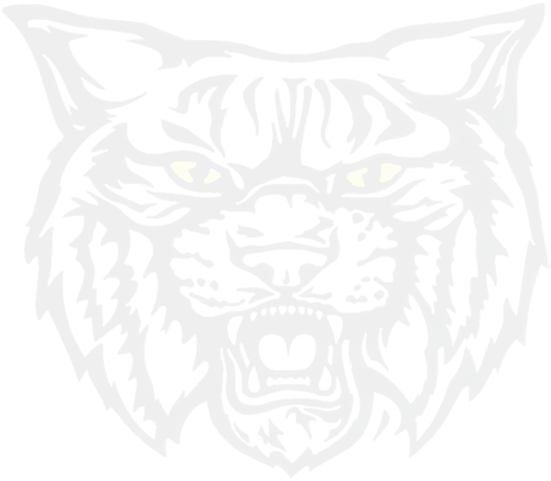 Mattawan Wildcat Logo