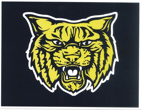 Mattawan Wildcat Image